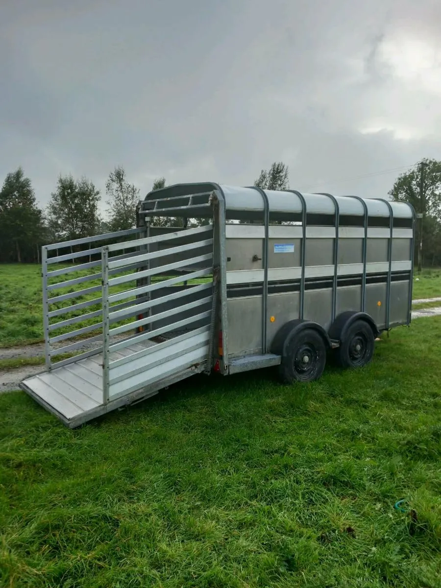 Ifor Williams 12x6 livestock trailer - Image 1