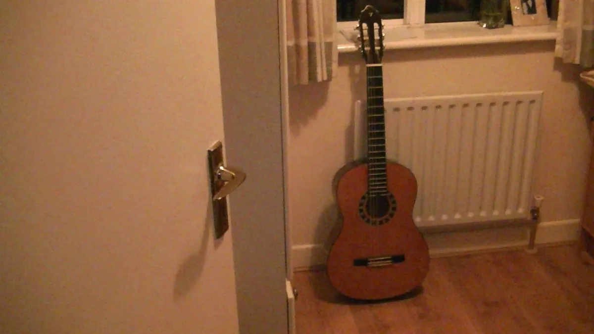 Valencia Guitar - Image 1