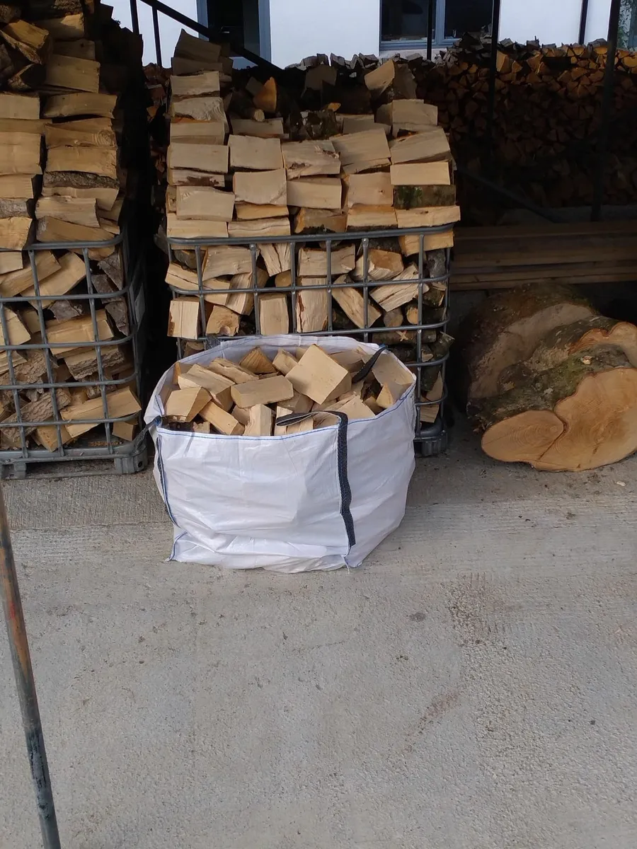 Firewood - Image 2