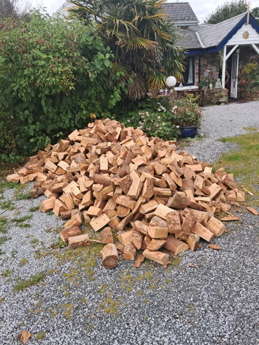 Firewood for sale covering all cork - Image 4