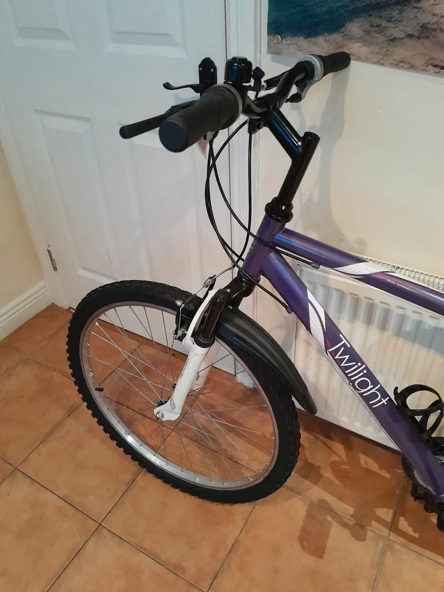 Bicycle - Image 3