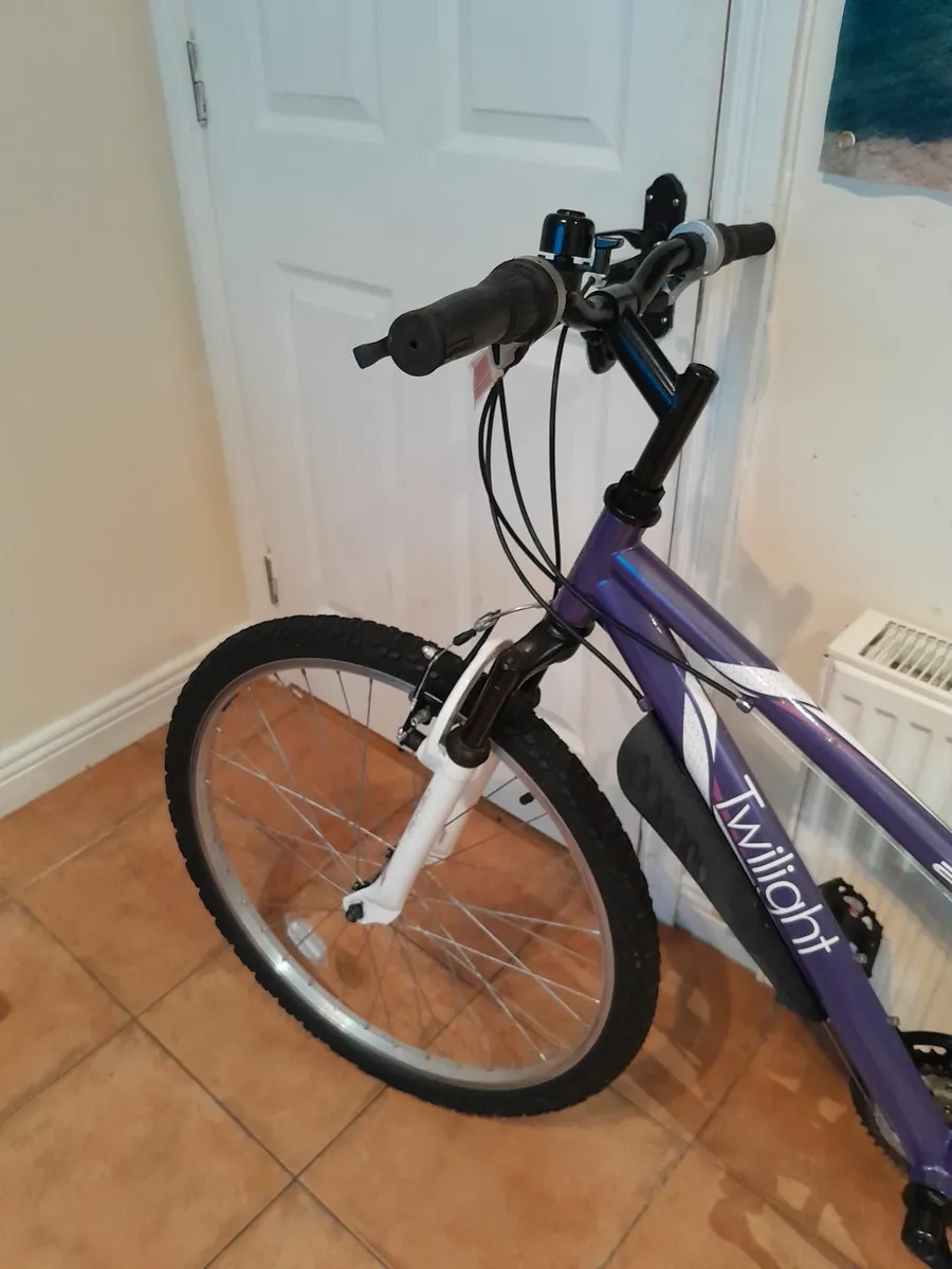 Bicycle - Image 4