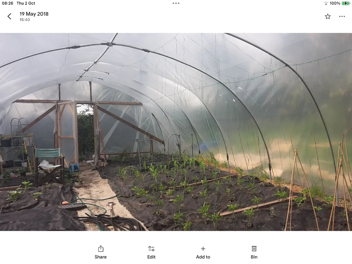 Polytunnel - Used - Image 2