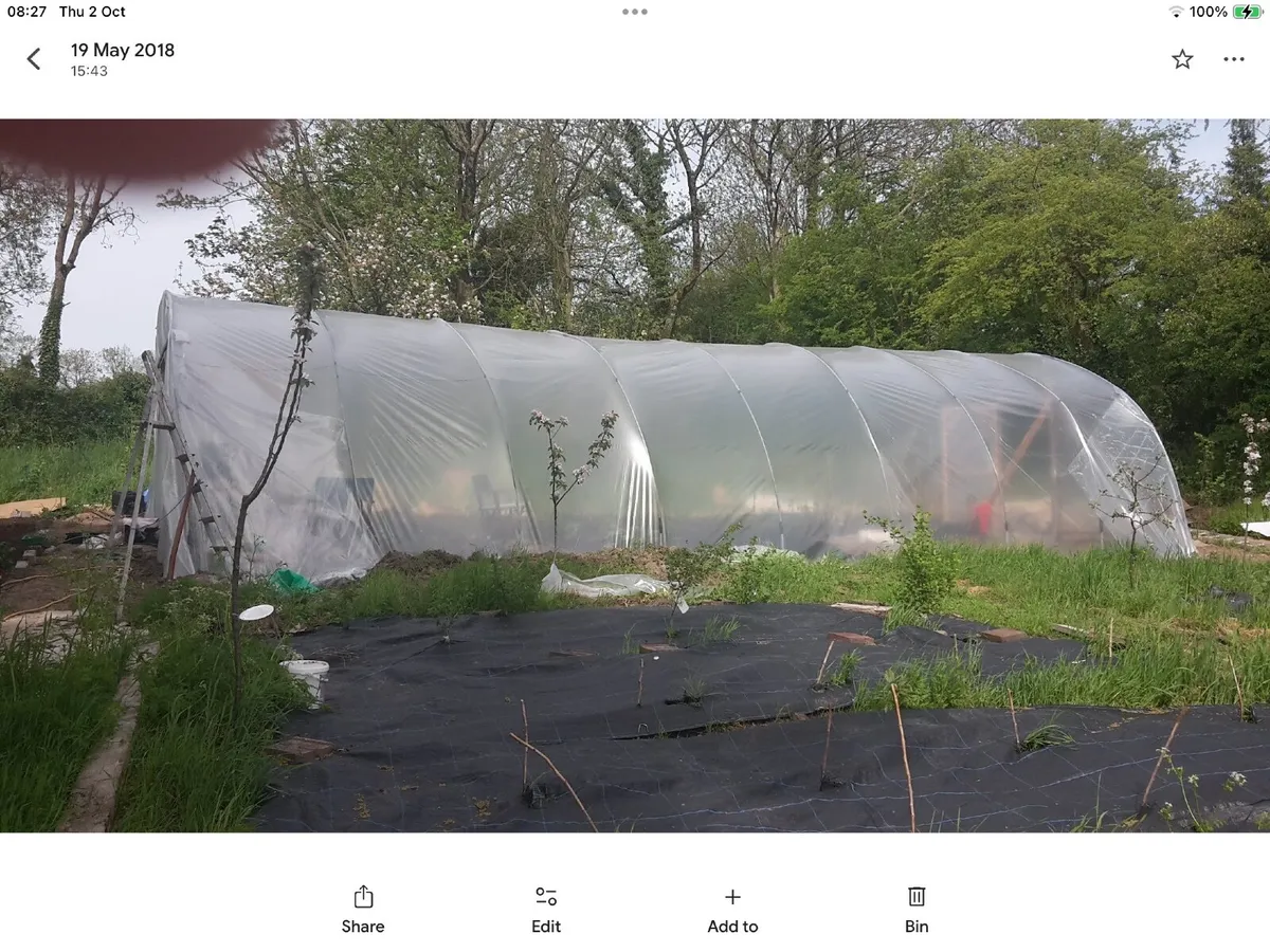 Polytunnel - Used - Image 3