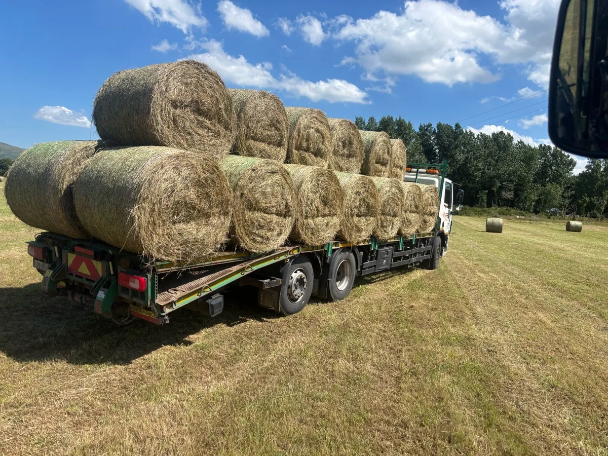 Organic hay round bales for sale. - Image 1