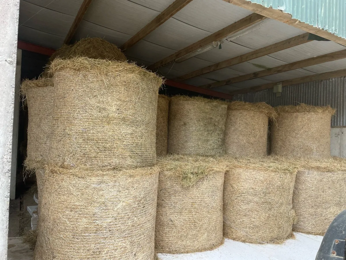 Organic hay round bales for sale. - Image 3