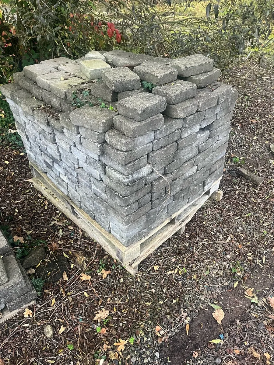 Paving bricks - Image 1