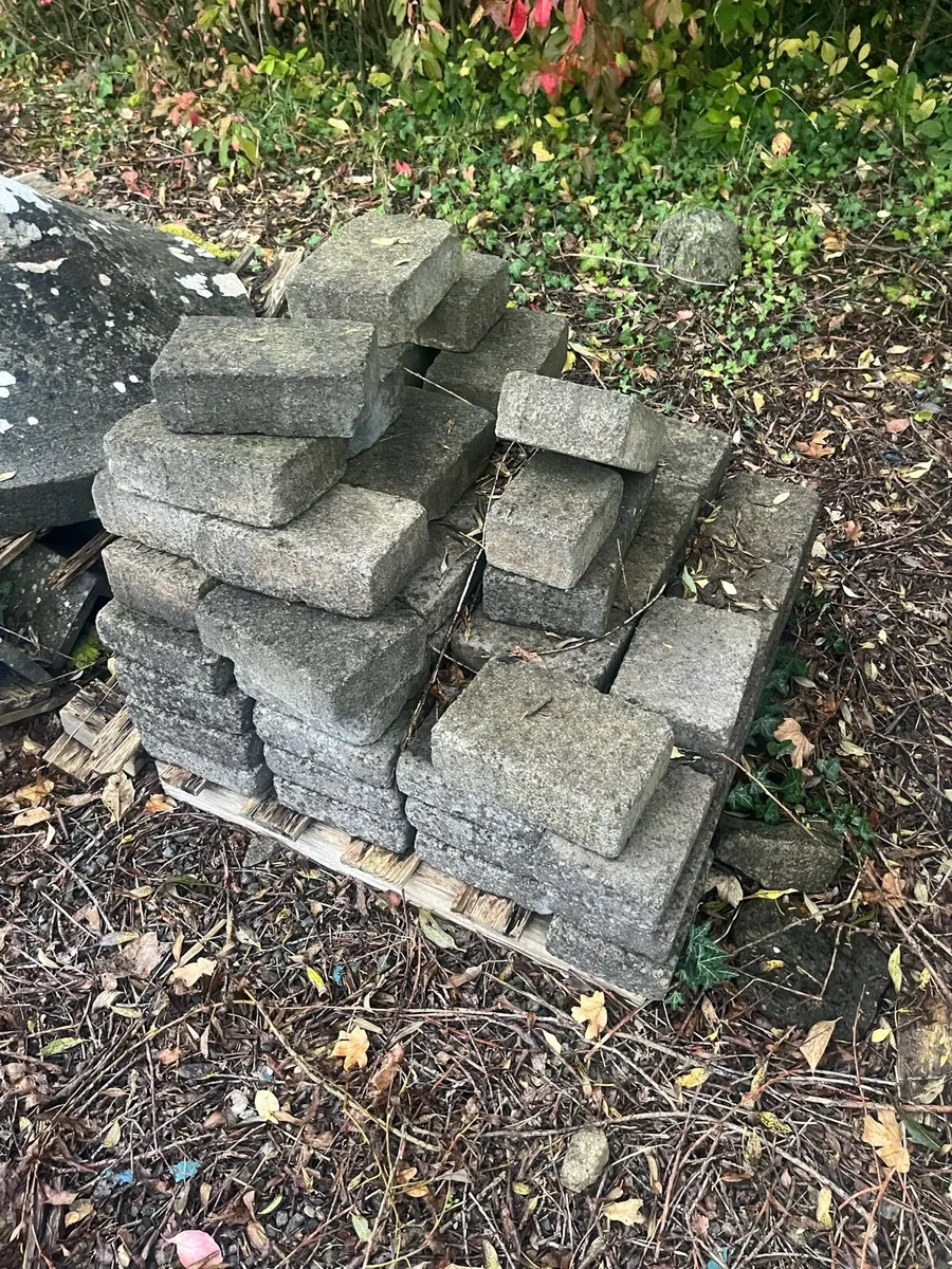 Paving bricks - Image 2