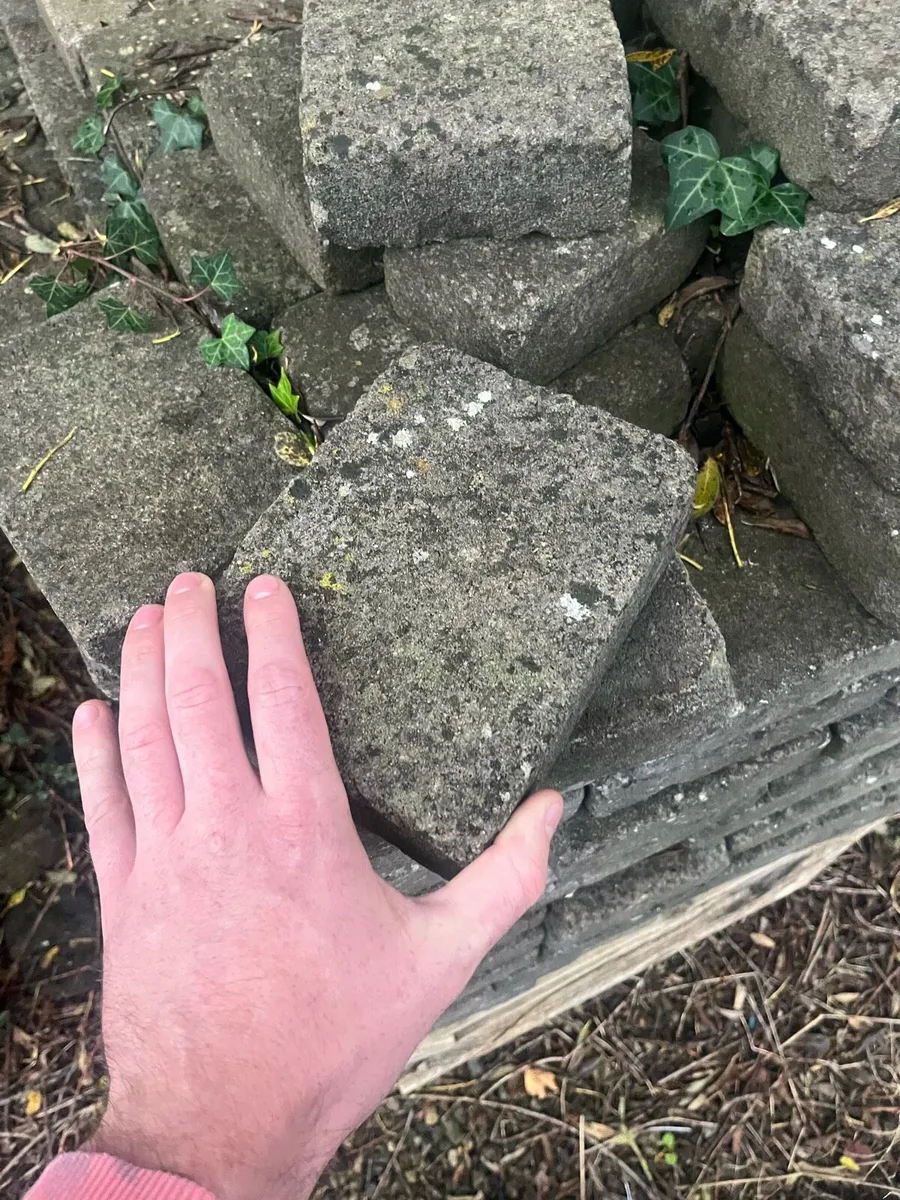 Paving bricks - Image 3