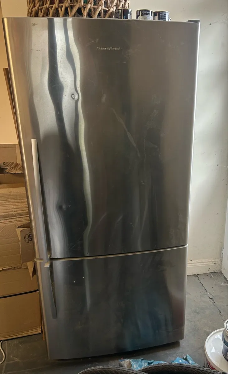 Fischer Paykel Fridge Freeze
