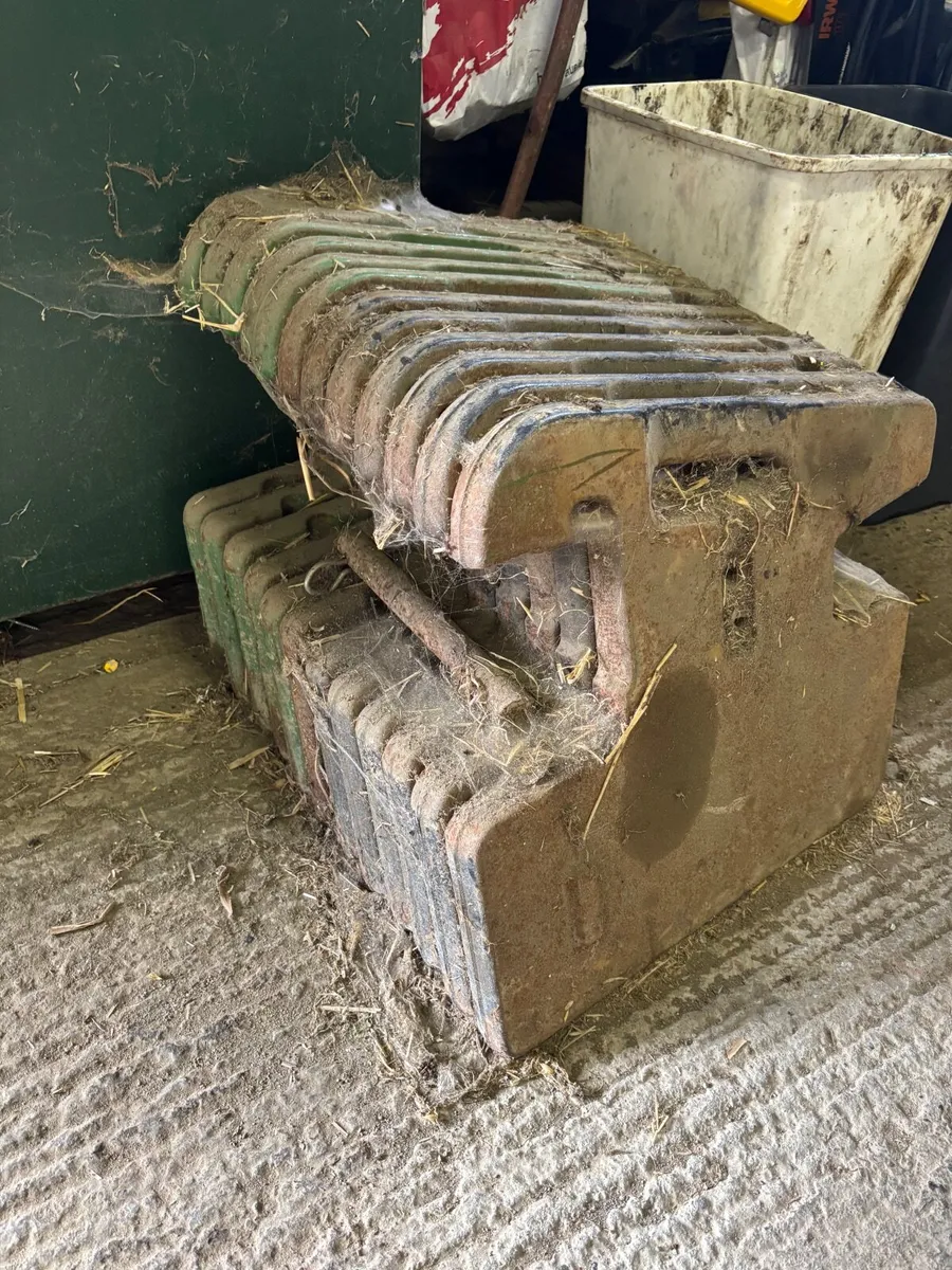 50 kg weights John deere - Image 2
