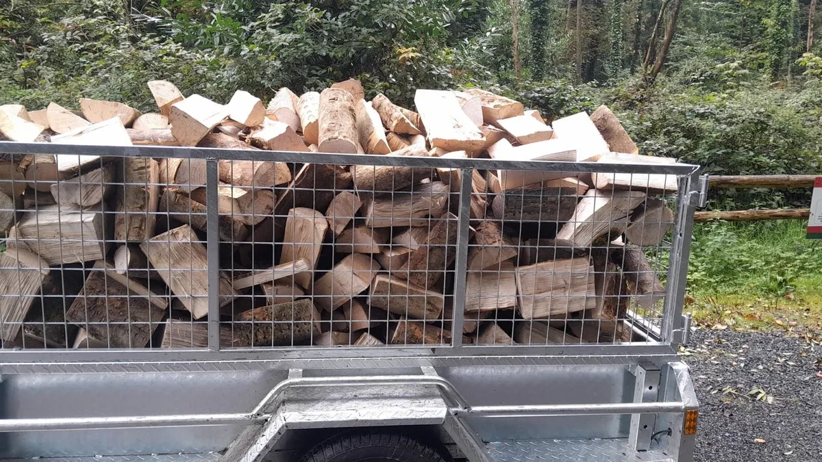 Hard wood 2 tonne - Image 2