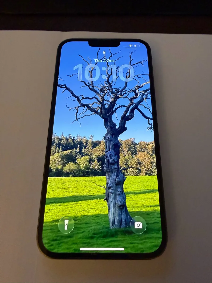 iPhone 13 Pro Max - 128GB -Bottle Green - Image 1