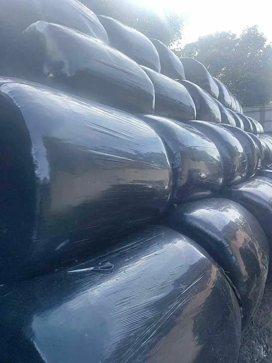 Round Bales - Image 1
