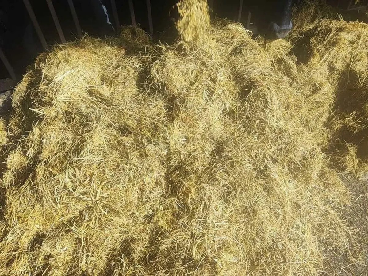 Round Bales - Image 3