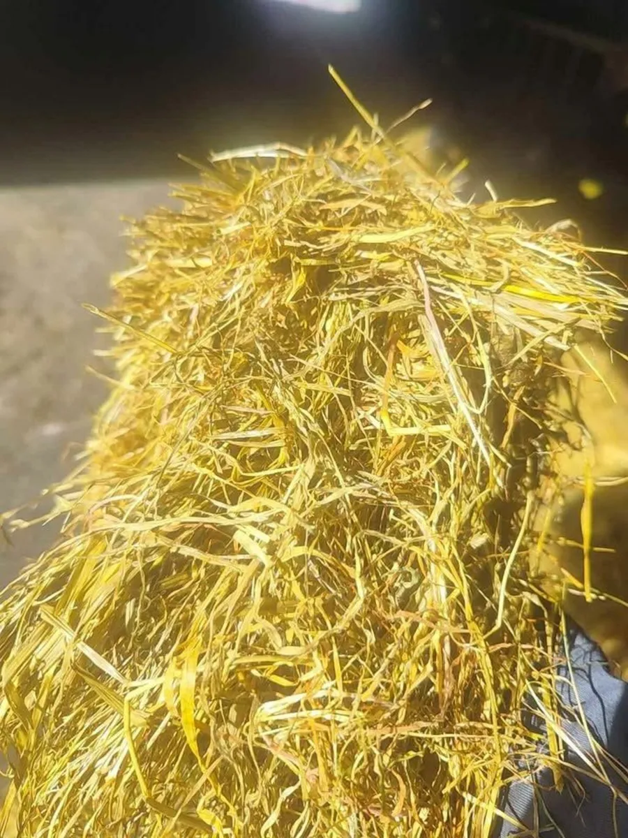 Round Bales - Image 4