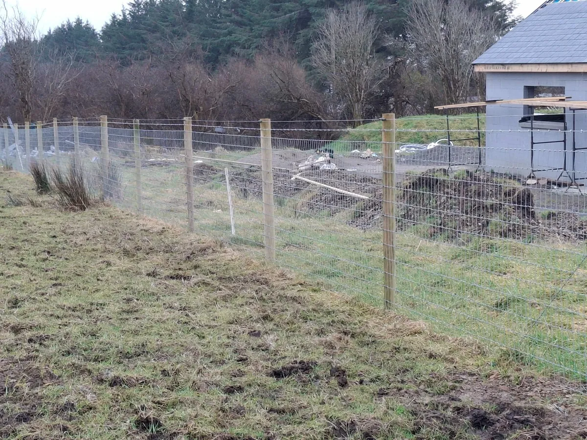 Fencing - Image 2