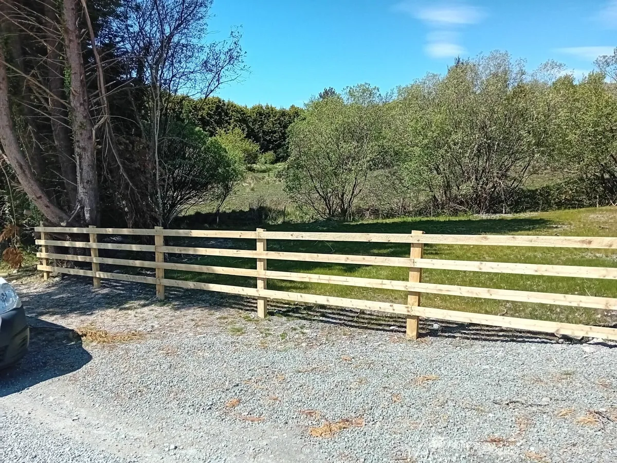 Fencing - Image 4