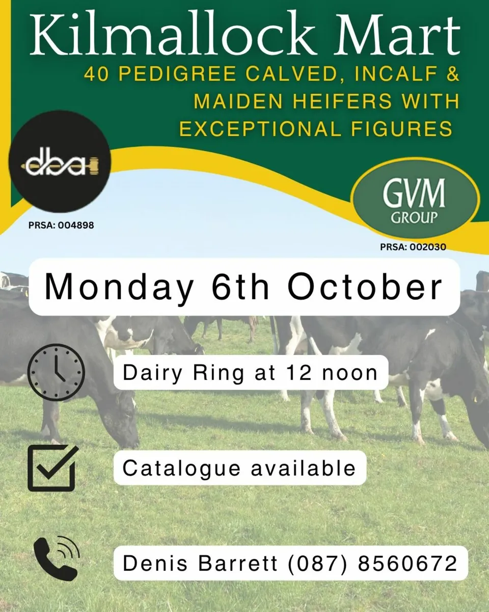 Dairy - Image 1
