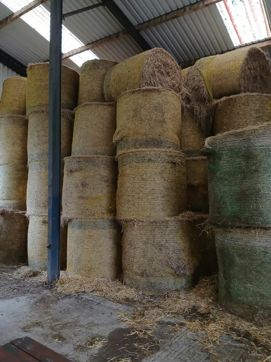 Beautiful Hay for Sale. - Image 1