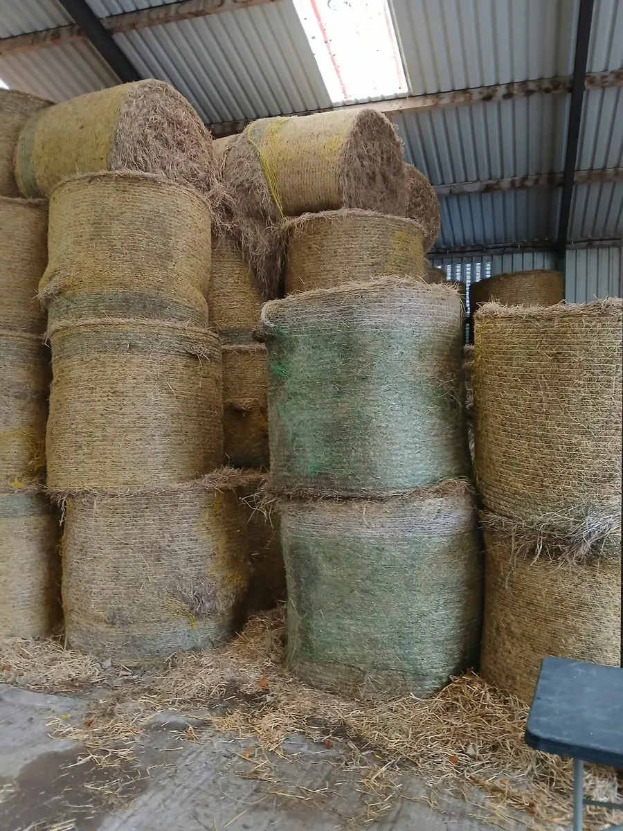 Beautiful Hay for Sale. - Image 2