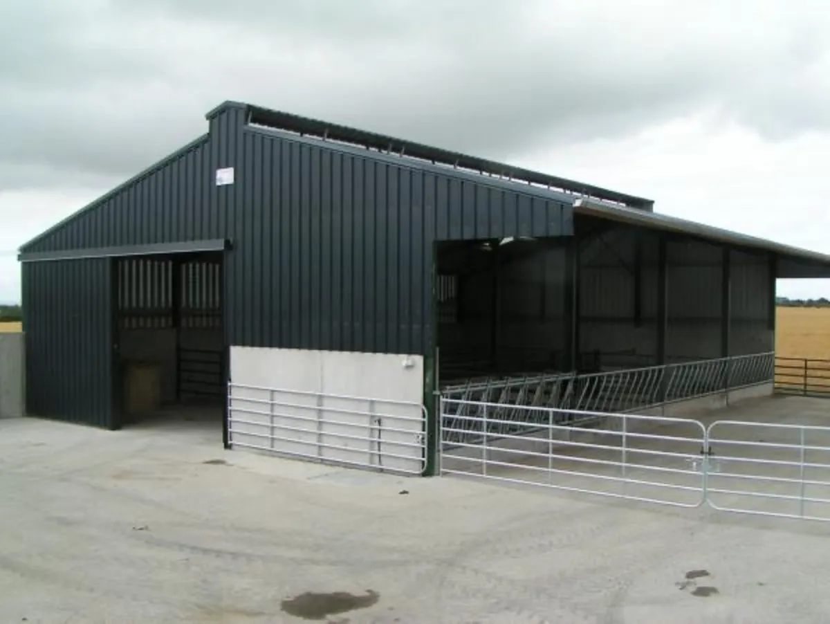 Cattle shed wanted for winter