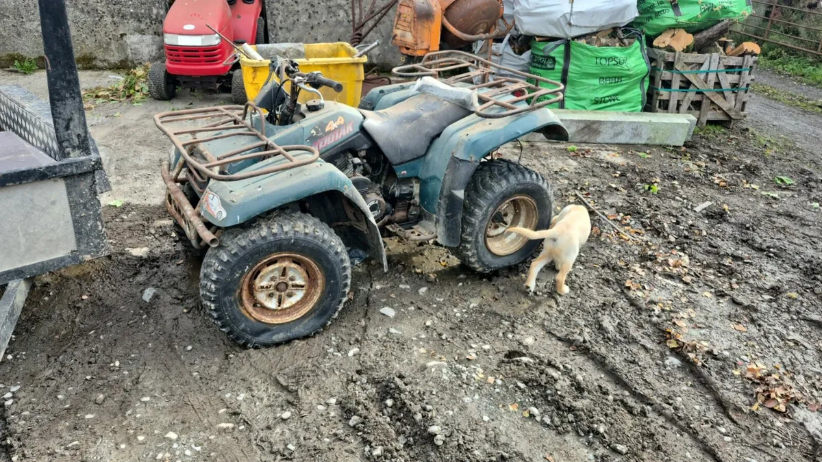 Farm quads WANTED nationwide collection - Image 4