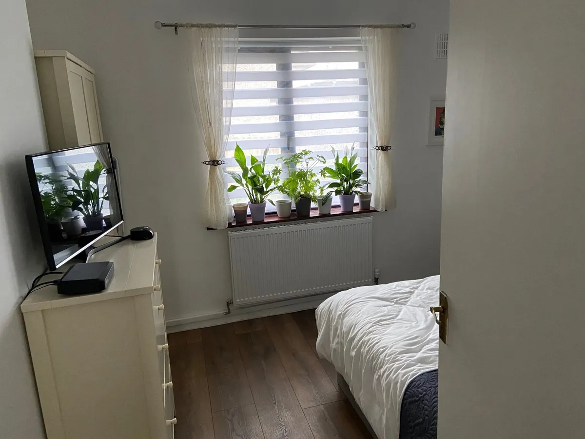 day night blinds white