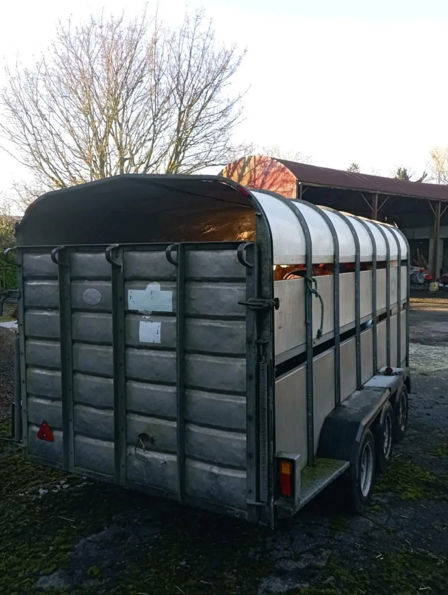 Tri axle - Image 3