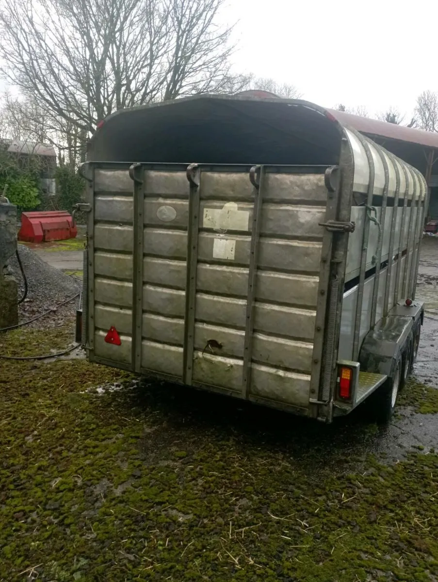 Tri axle - Image 4