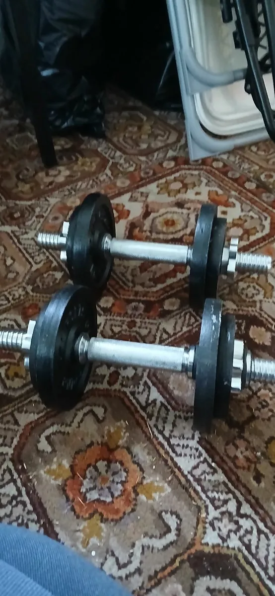 Dumbbell weights - Image 1