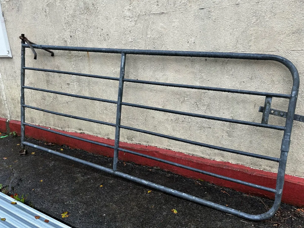 Galvanised gate 9ft