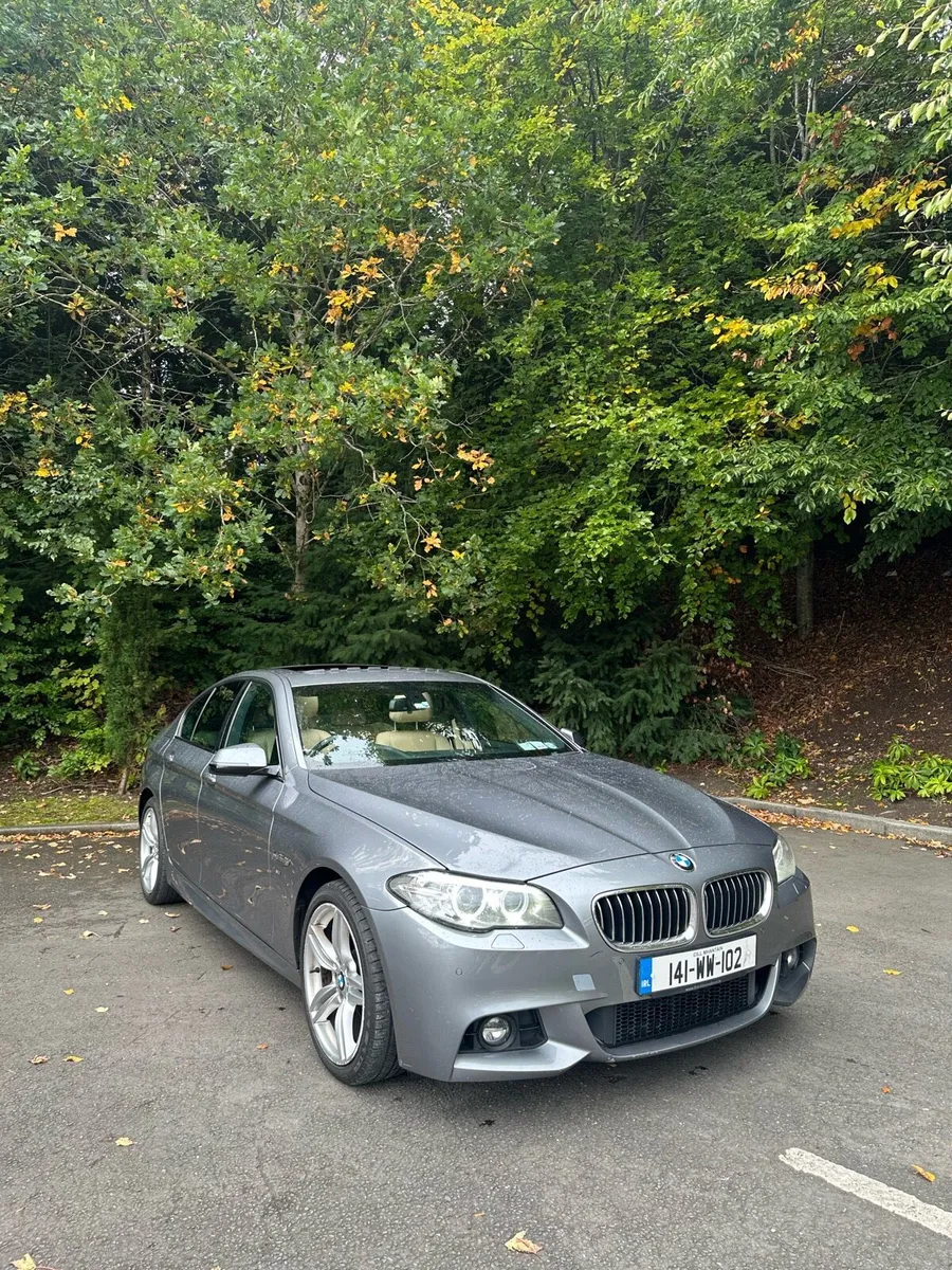 BMW 5 Series M Sport - Image 1