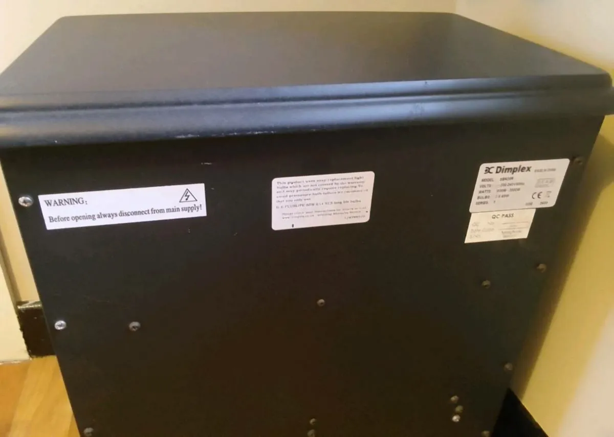 Two Door Electric Fire - Image 4