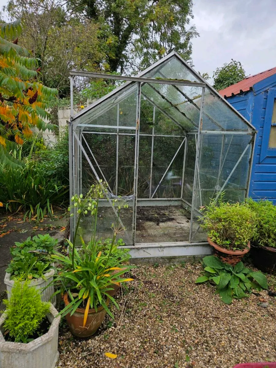 6x6 Greenhouse