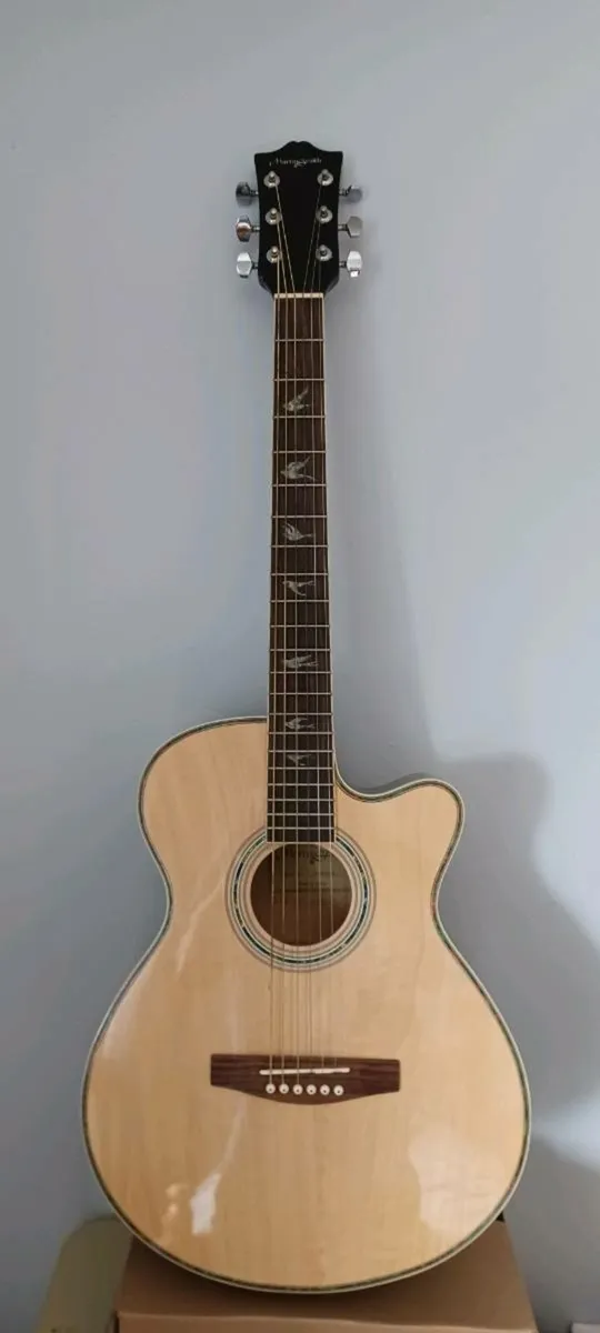 Martin Smith beginner acoustic guitar - Image 1