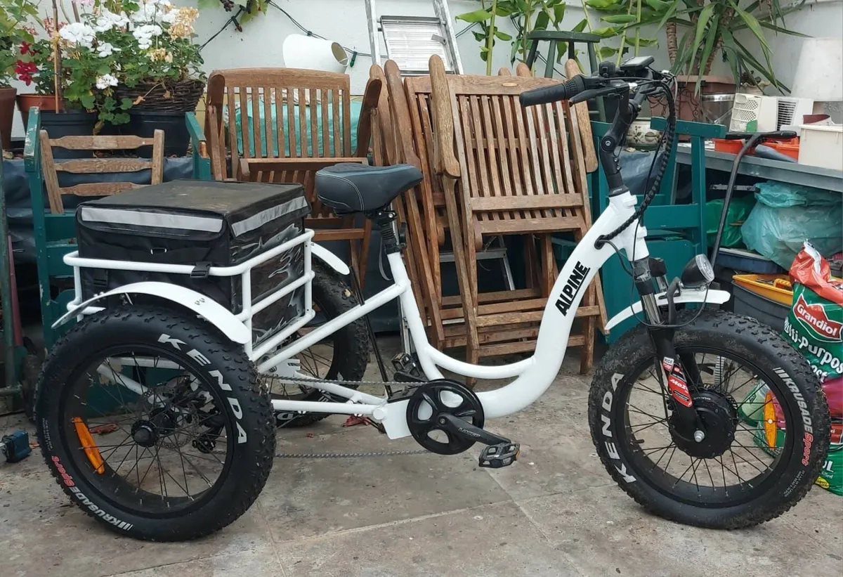 Adult Electric Trike, Electric Trike - Image 1