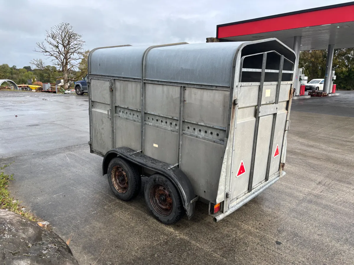 clean 8ft livestock trailer for sale - Image 4