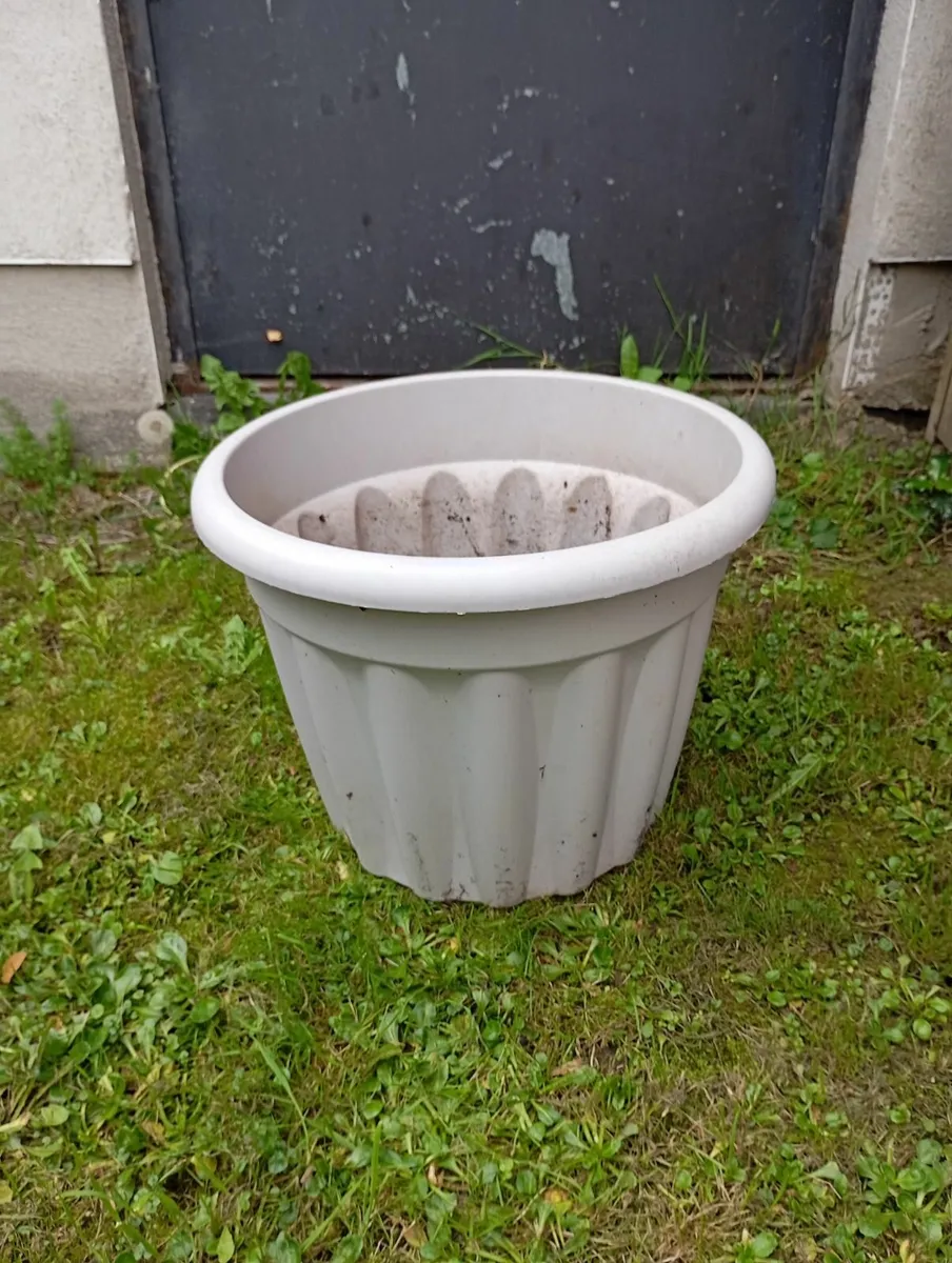 Pots and Garden Accessories for sale - Image 2