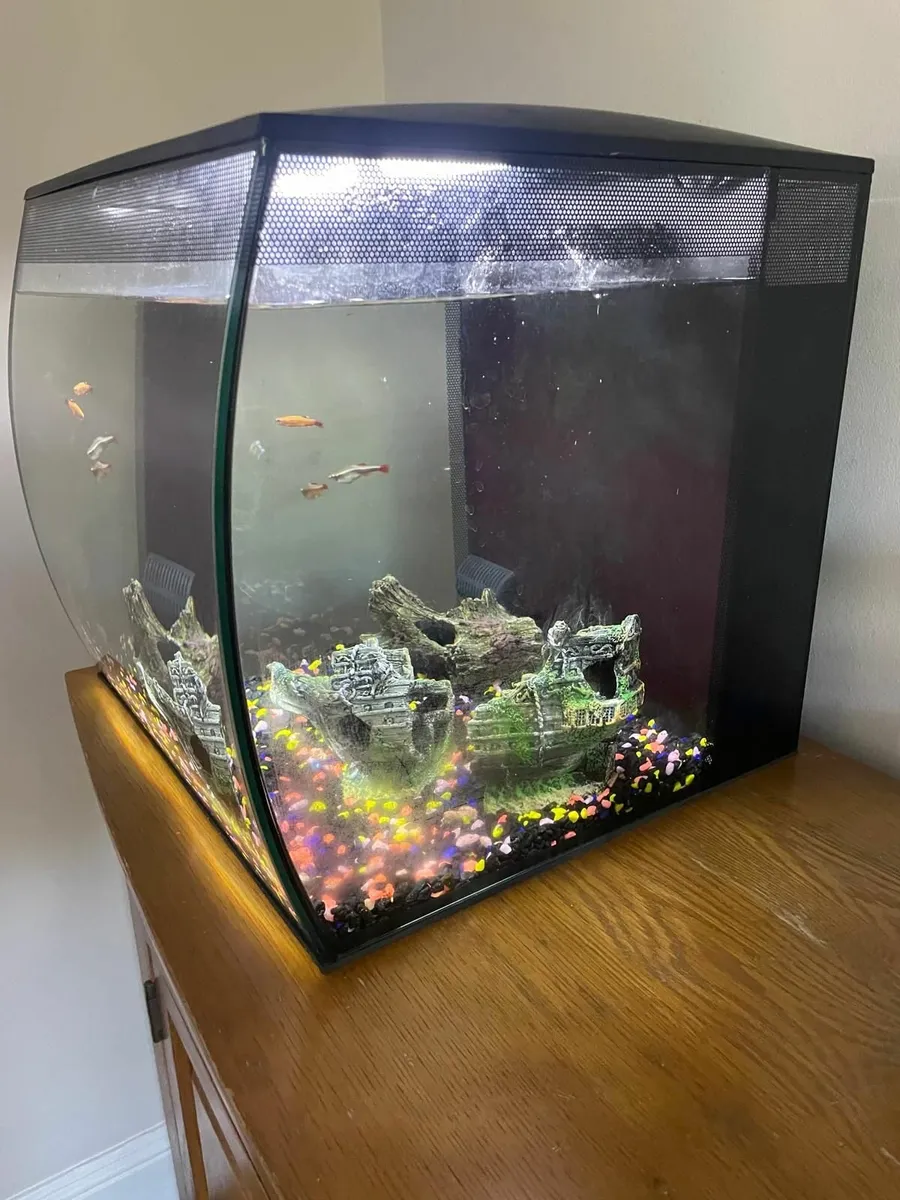 Fish tank 57L + 5 Fish - Image 3