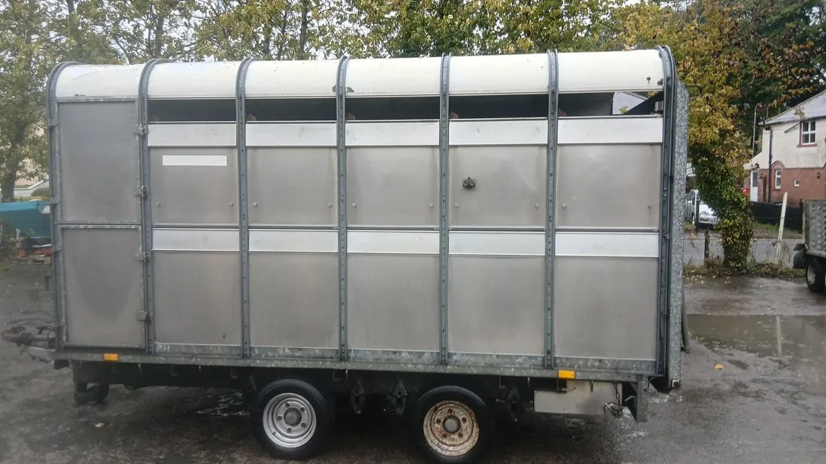 Ifor williams 12ft livestock Trailer - Image 2