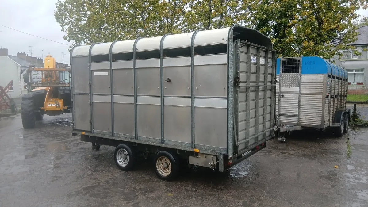 Ifor williams 12ft livestock Trailer - Image 1
