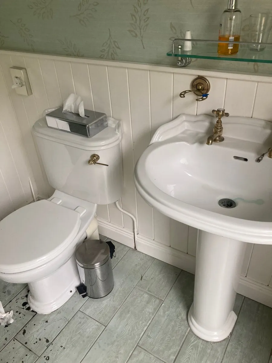 Toilet and sink - Image 1