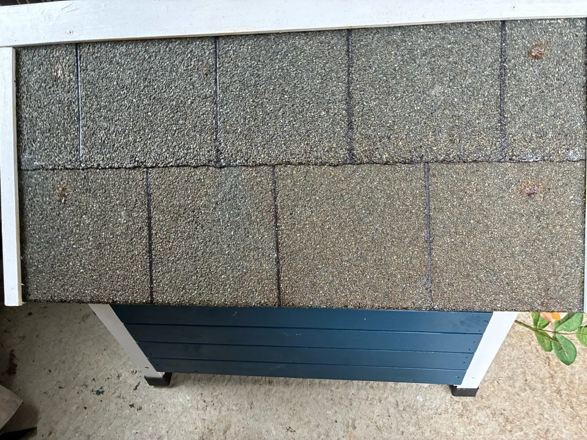 Dog house - Image 2