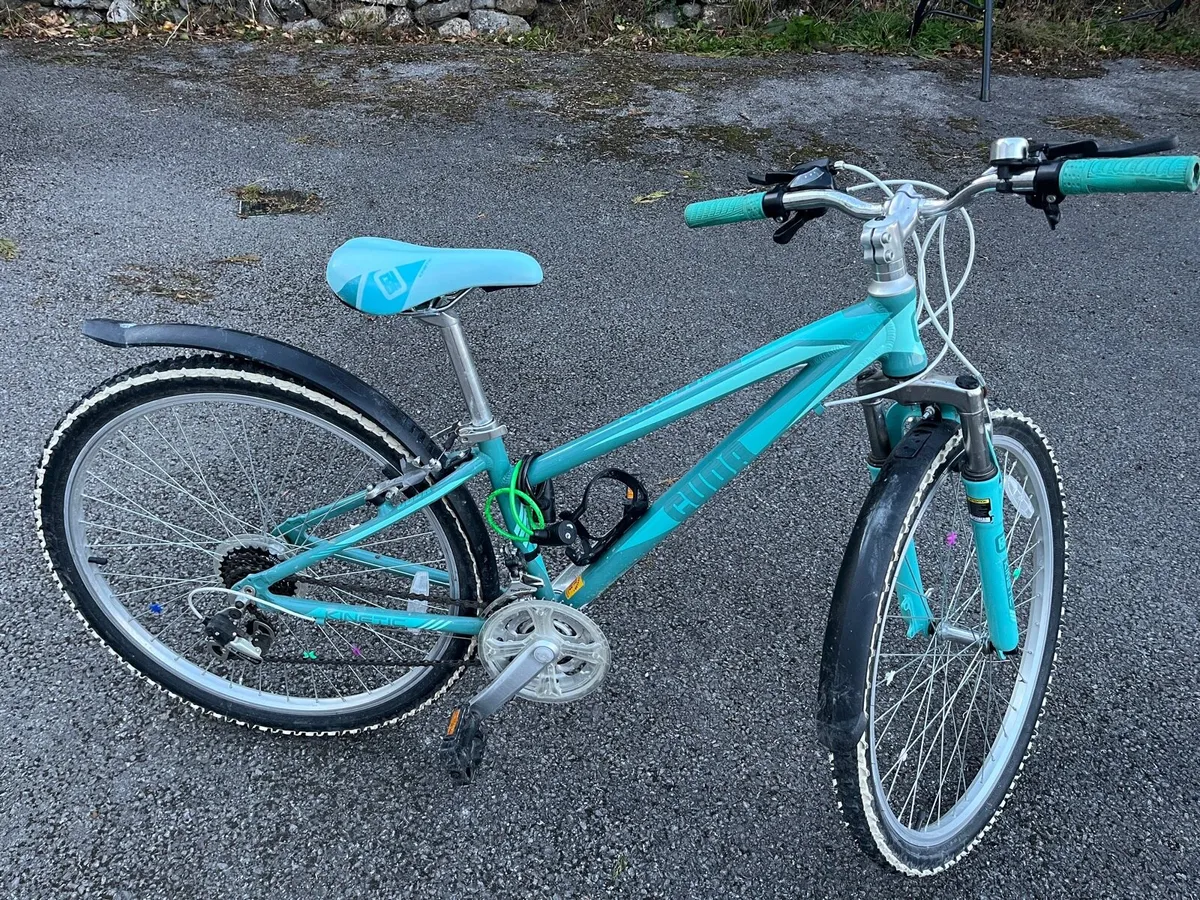 Girls Bike 26” - Image 1