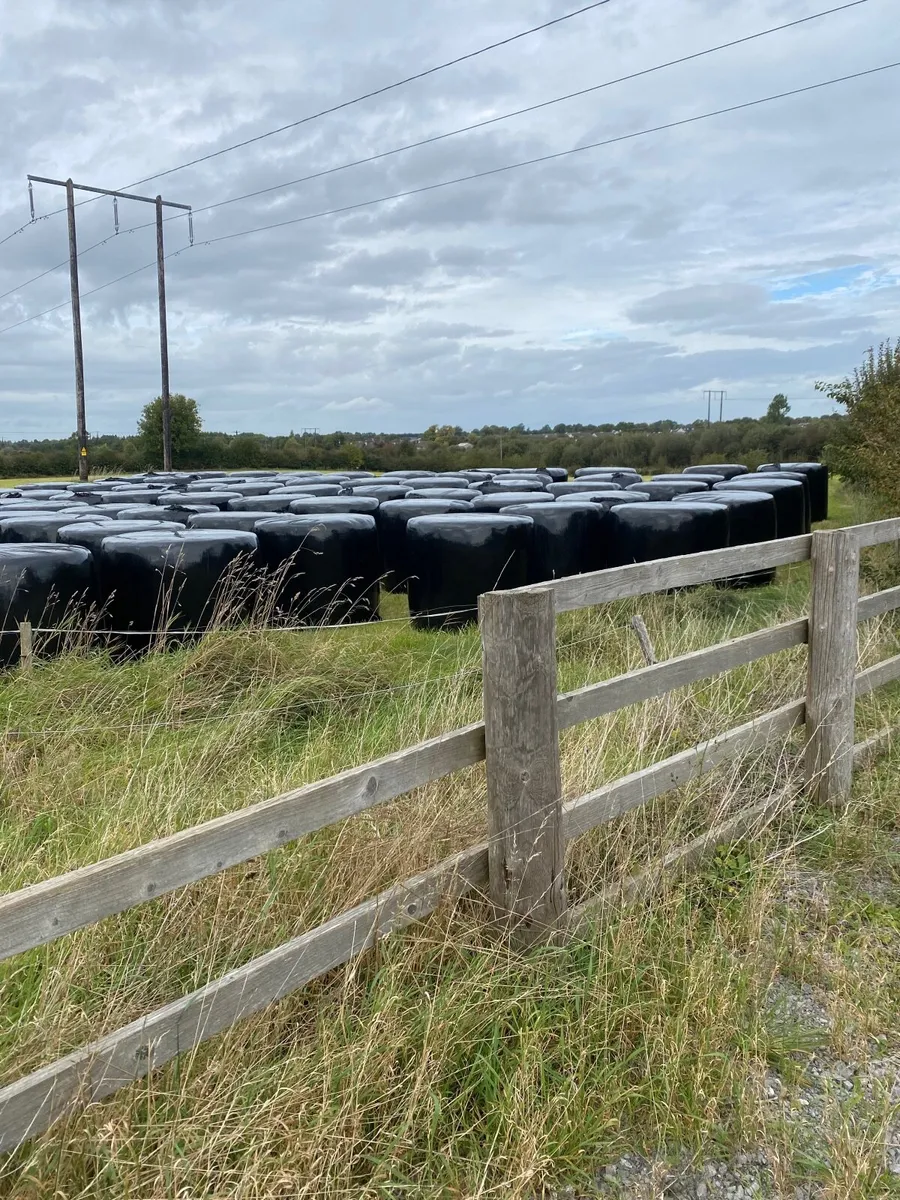 Silage - Image 1