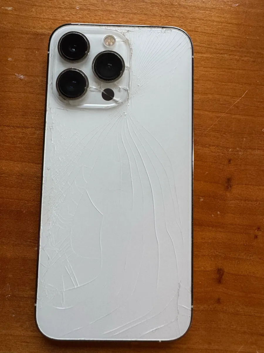iPhone 13 Pro (256 GB) - White / Silver - Image 4