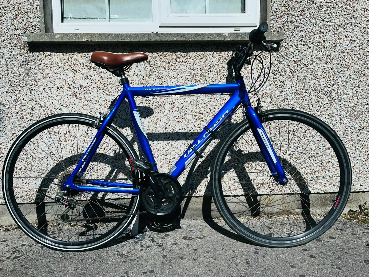 Adult bike 700x28c wheels speed 21 inch frame - Image 1