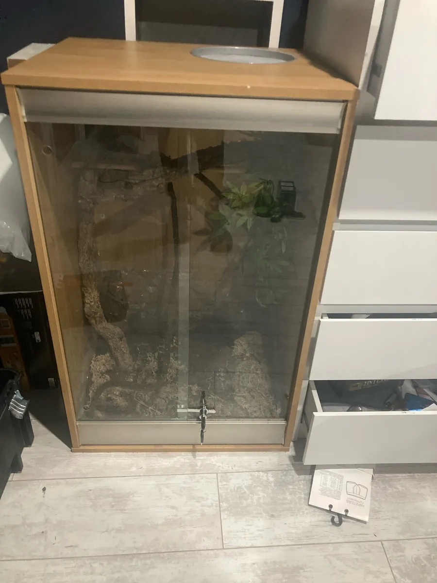 Wooden vivarium - Image 1