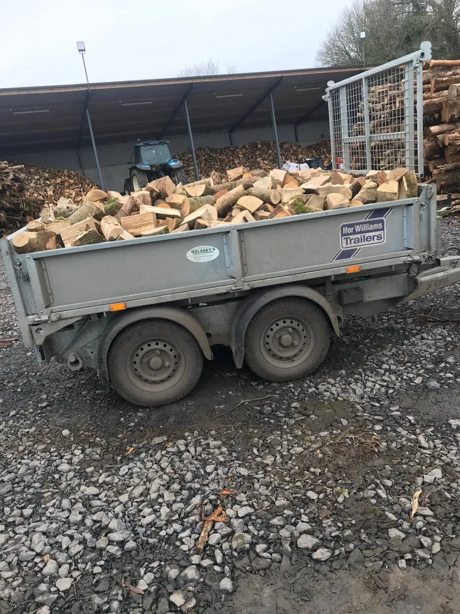 Hardwood firewood - Image 2